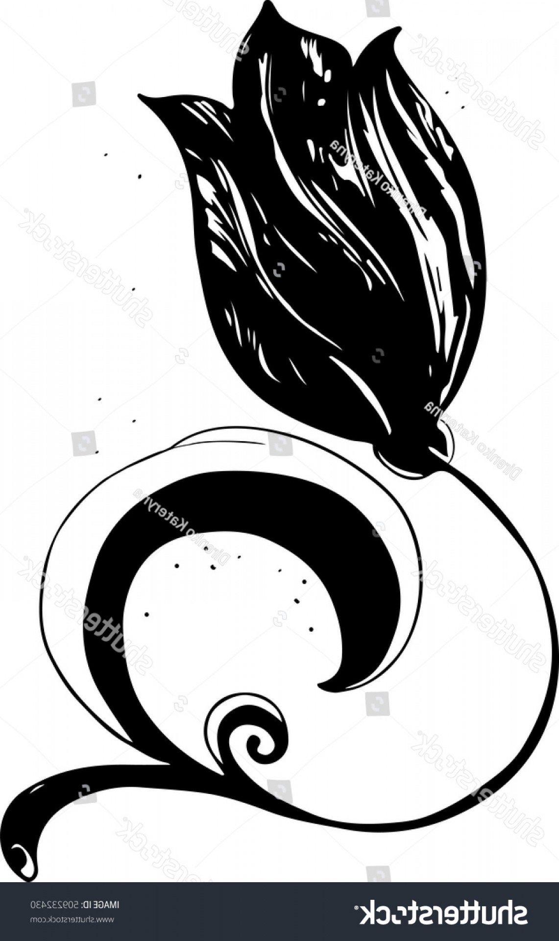 1141x1920 Silhouette Tulip Flower Vector Artwork Love Cqrecords