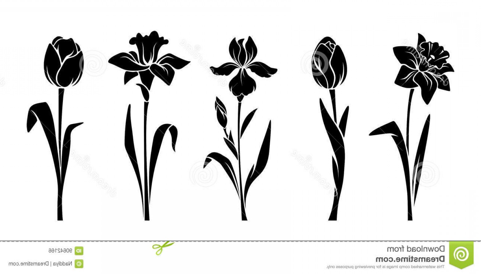 1560x888 Stock Illustration Spring Flowers Vector Black Silhouettes Tulips