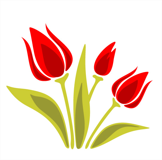 542x536 Tulip