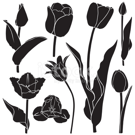 440x440 Tulips Silhouette Set Stock Vector