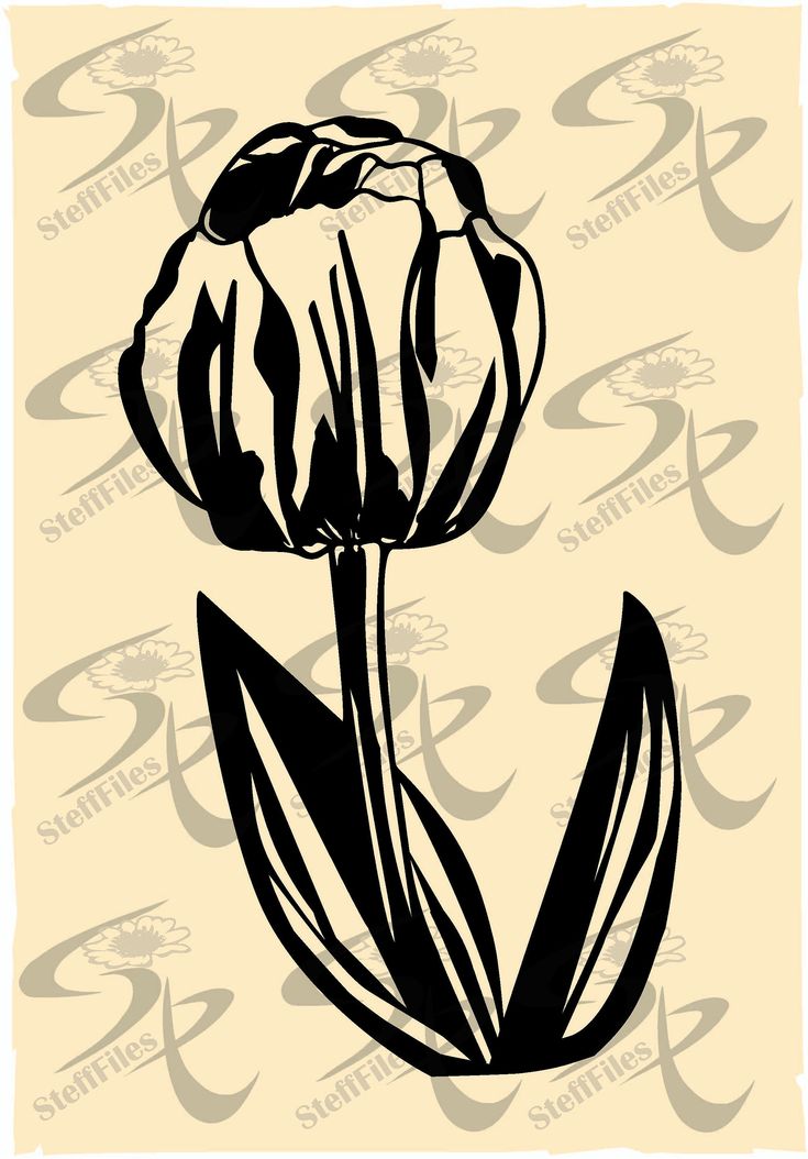 735x1054 Vector Flower Vector Flower Tulip Clipart Spring,silhouette, Elite