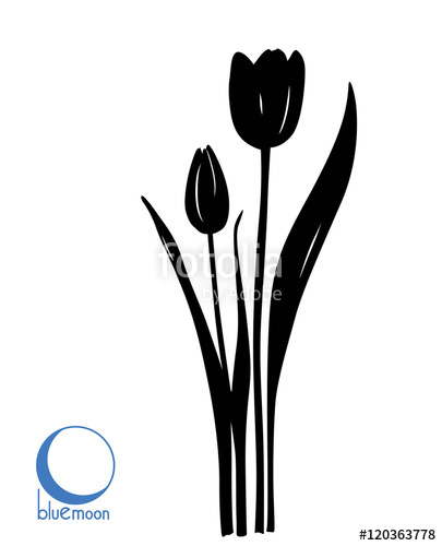 405x500 Flat Black Tulip Silhouette On White Background Stock Image
