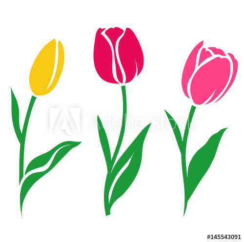 500x496 Set Of Colorful Tulip Silhouette Vector Illustration Collection