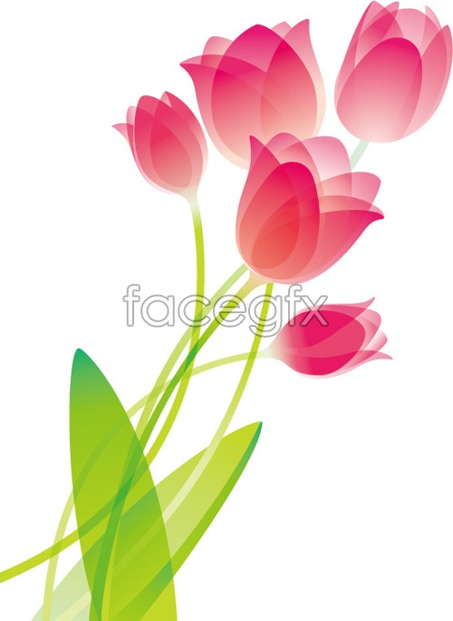 500x684 Special Tulip Vector Over Millions Vectors, Stock Photos, Hd