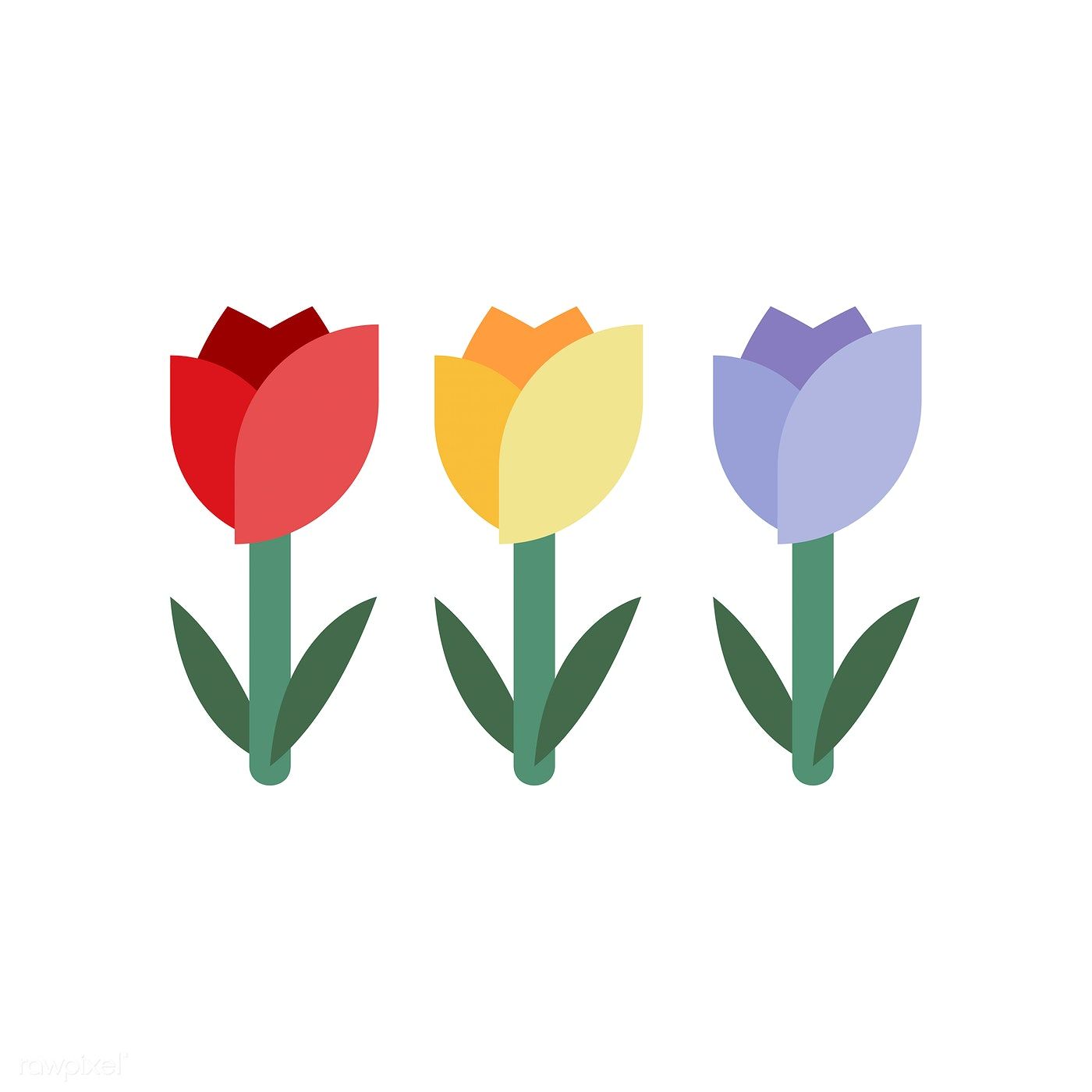 1400x1400 Three Colorful Tulip Vector Free Image