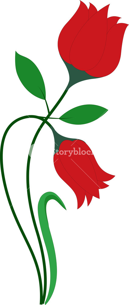 423x1000 Tulip Vector Flower Royalty Free Stock Image