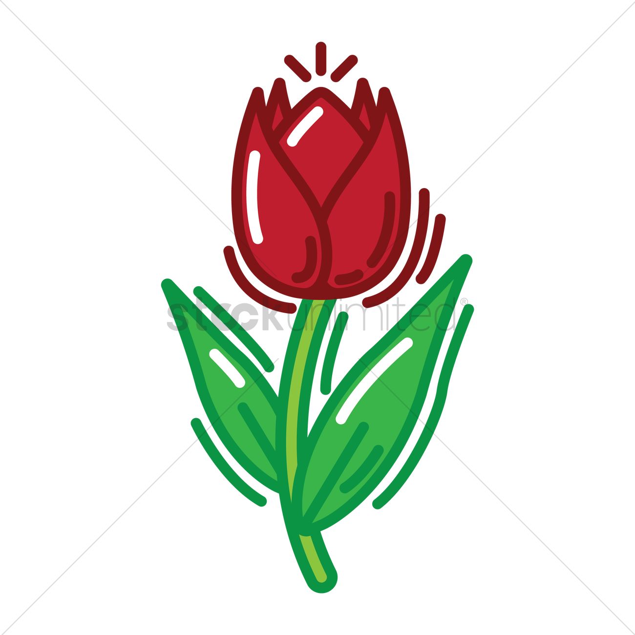 1300x1300 Tulip Vector Image