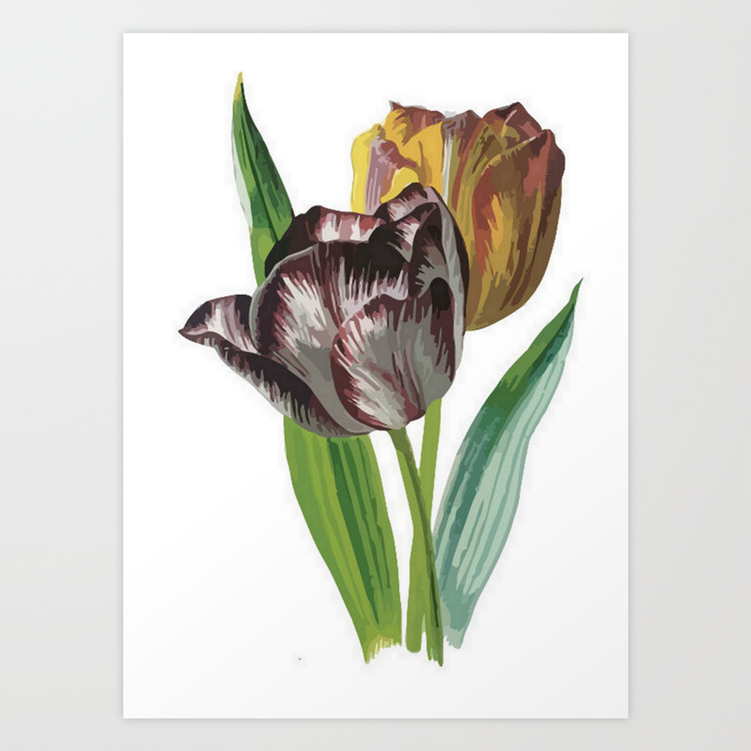 1500x1500 Tulip Vector On White Background Art Print