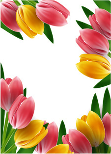 226x314 Tulip Free Vector Download