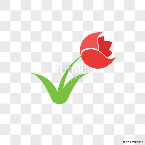 500x500 Tulip Vector Icon Isolated On Transparent Background, Tulip Logo