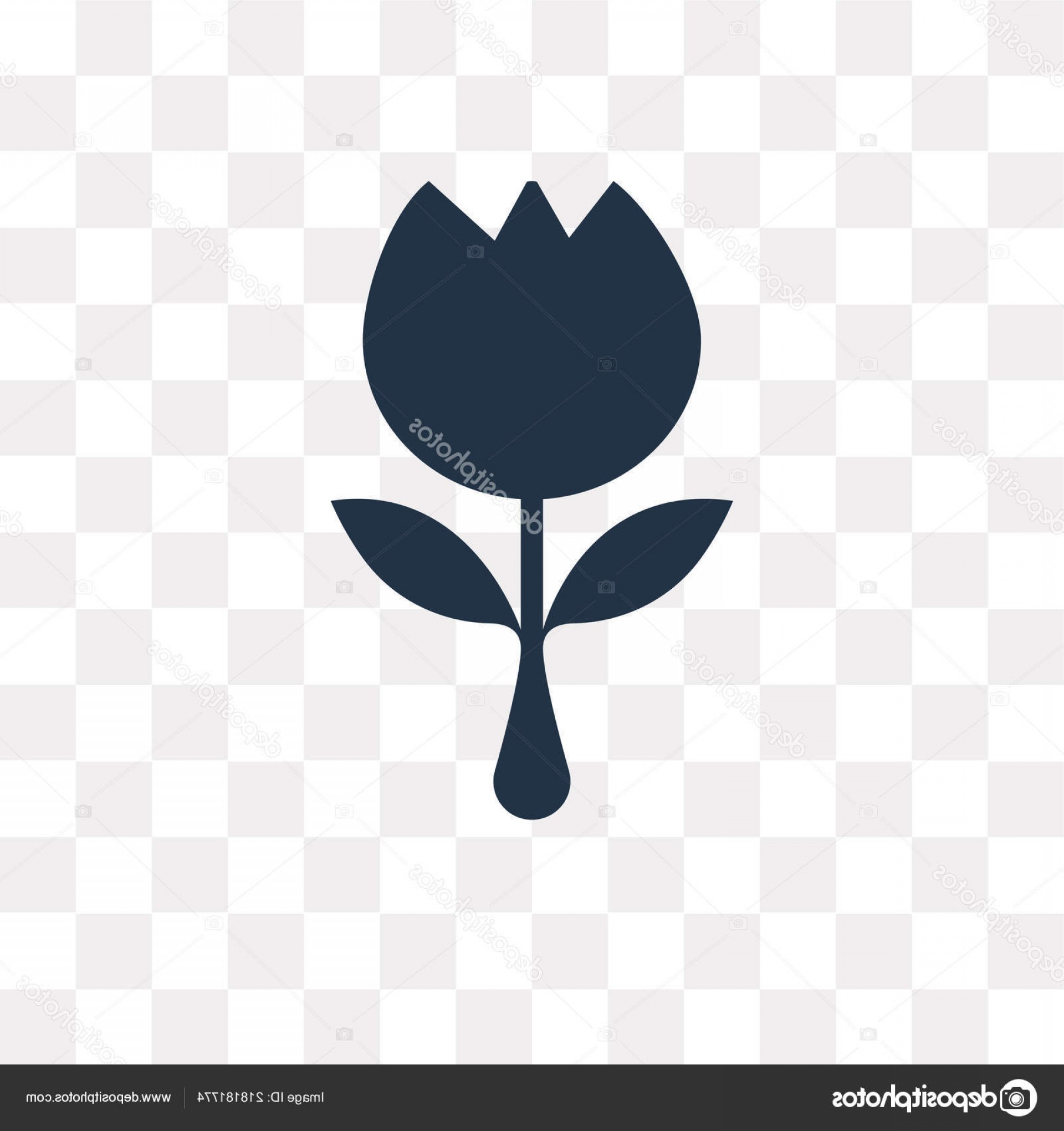1920x2040 Tulips Vector Transparency Catchsplace