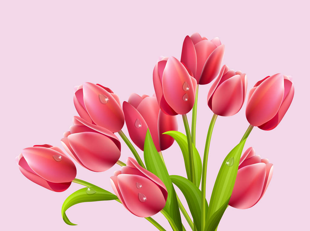 1024x765 Vector Tulips Vector Art Graphics