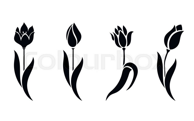 800x498 Vector Set Of Beautiful Silhouettes Stock Vector Colourbox