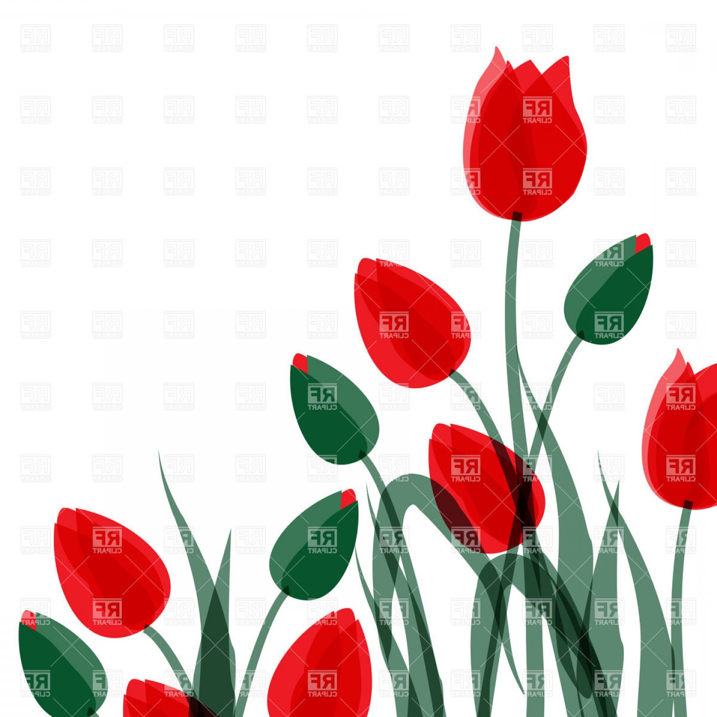 1440x1440 Flowers Red And Green Tulips Vector Clipart Cqrecords