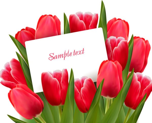 600x484 Free Valentine's Day Tulip Vector
