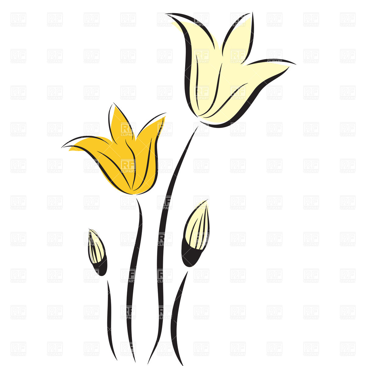 1200x1200 Hand Drawn Tulips Vector Image Of Plants And Animals Mcherevan