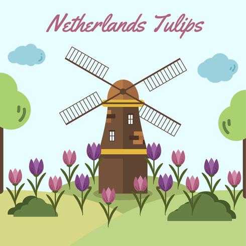 490x490 Netherlands Tulip Vector
