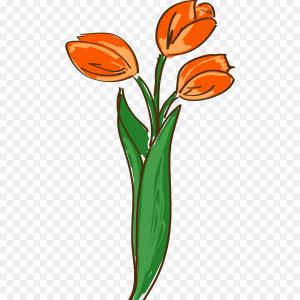 300x300 Png Netherlands Tulip Clip Art Hand Painted Cartoon Tu Newwaysys