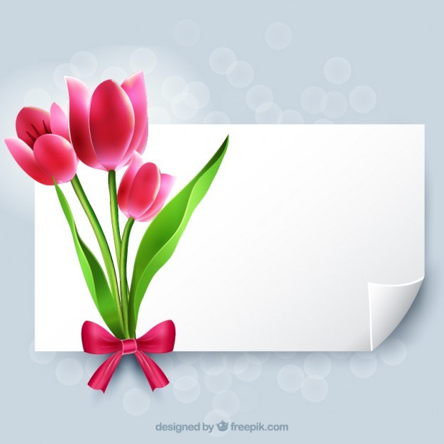 626x626 Tulip Vectors Download Free Vector Art Graphics