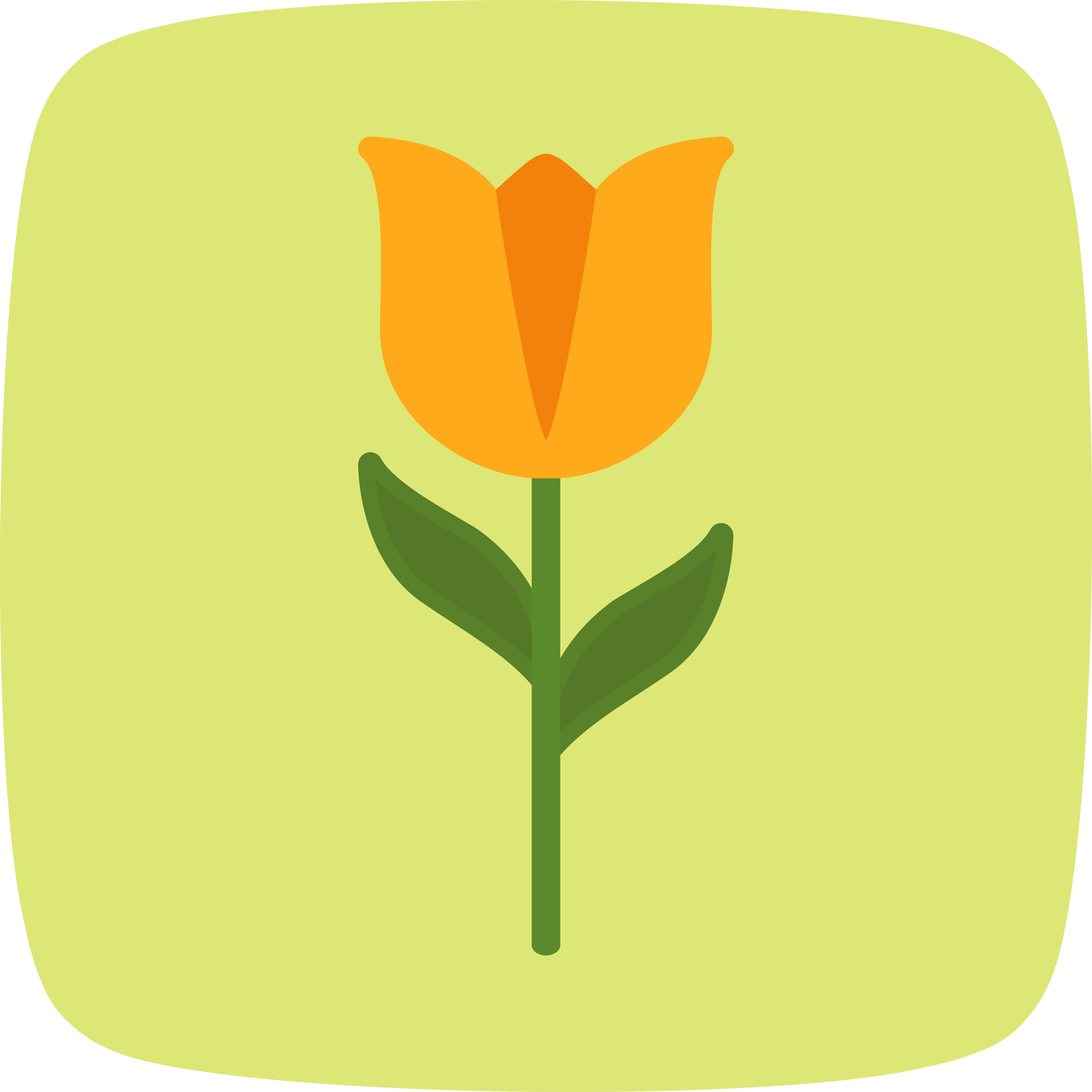 5120x5120 Tulip Vector Icon