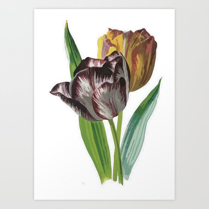 700x700 Tulip Vector On White Background Art Print