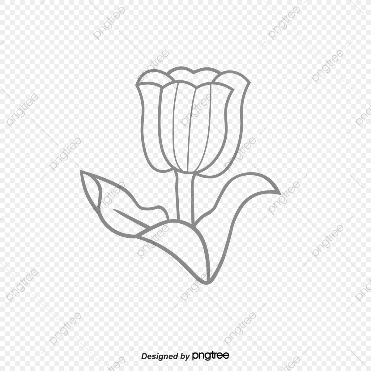 1200x1200 Vector Lines Painted Tulips, Vector Flowers, Line Drawing, Tulip