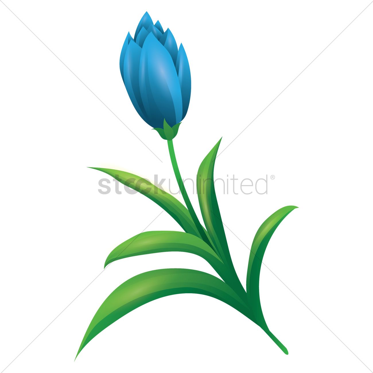 1300x1300 Blue Tulip Vector Image