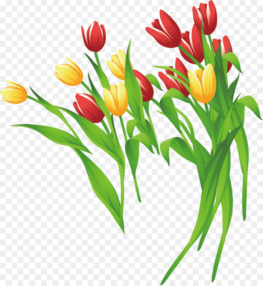 900x980 Download Tulip Flower Clip Art Tulip Vector Material