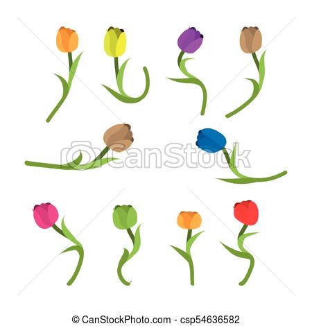 450x470 Vector, Colorido, Icono Icon Vector, Colorido