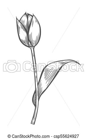 295x470 Vector, Concepto, Branding Regalo