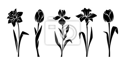 400x200 Vector Siluetas Negras De Flores De Primavera