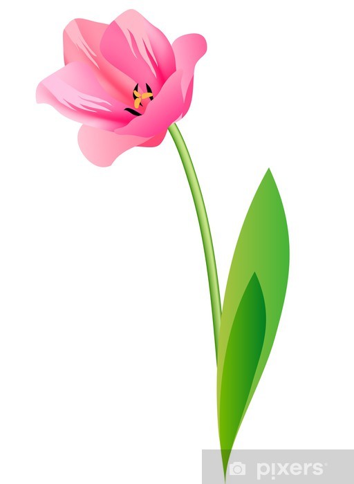 512x700 Vinilo Pixerstick Vector Realista Rosa