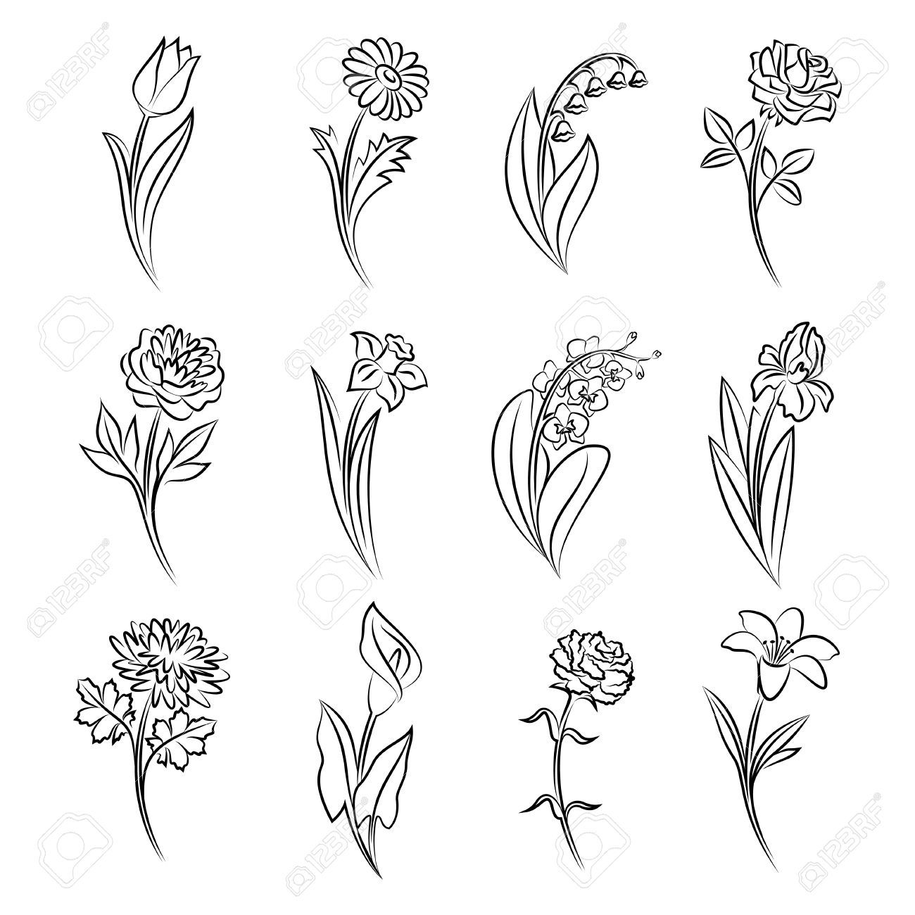1300x1300 Cho Chrysanthemum Vector Bordados Tatuaje De