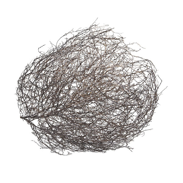 600x600 Tumbleweed Icon