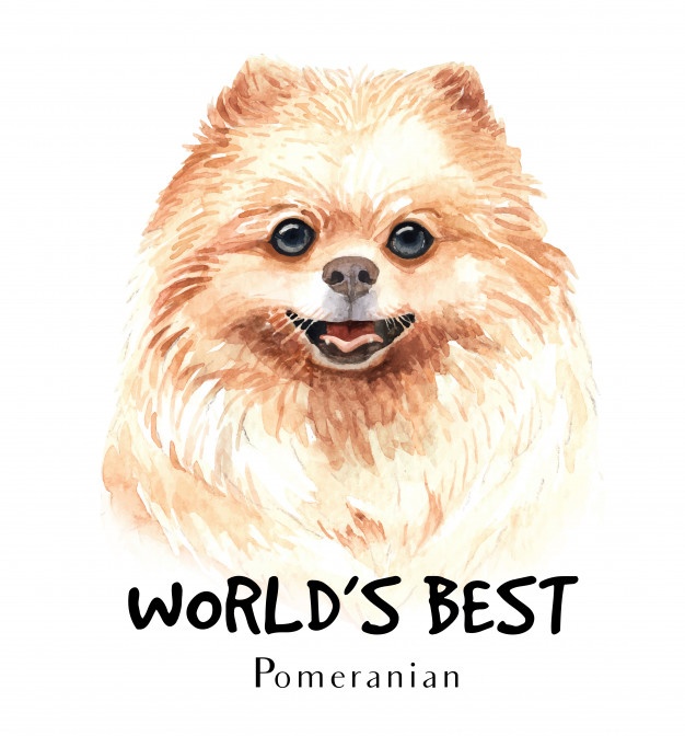 626x672 Tumbleweed Vectors, Photos And Free Download