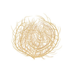 240x240 Wild Plant Stock Photos And Royalty Free Images, Vectors