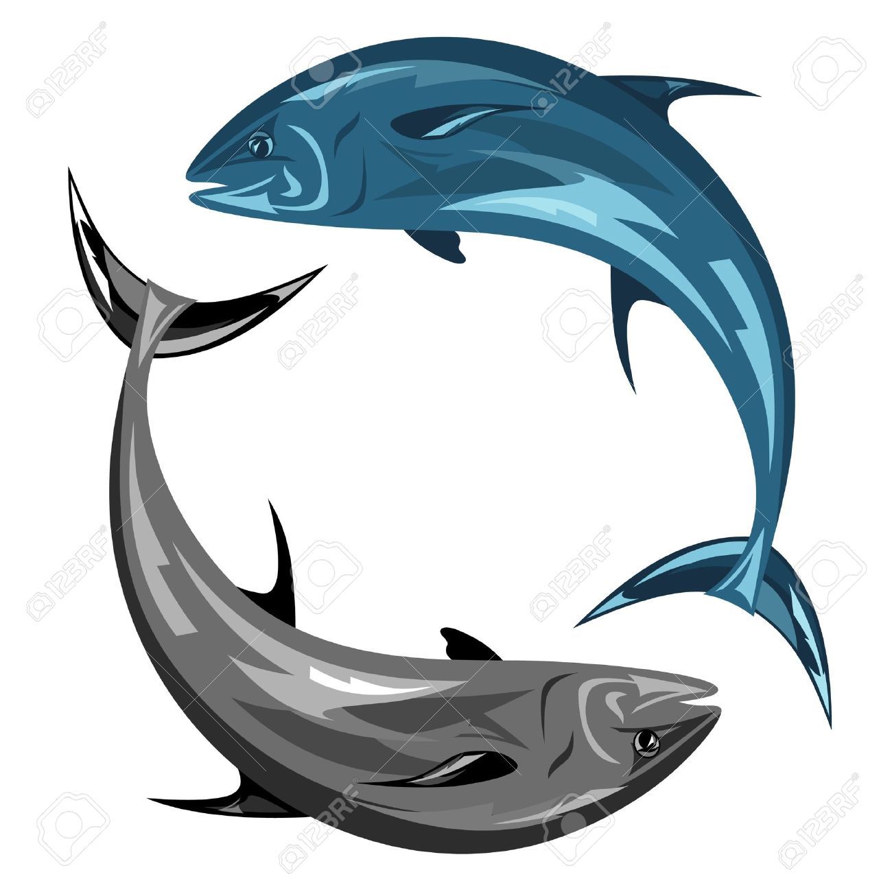 1300x1300 Stock Vector Bluefin Fish Vector, Fish Illustration, Tuna