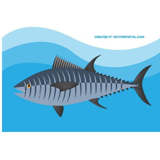 660x660 Tuna Fish Vector Image