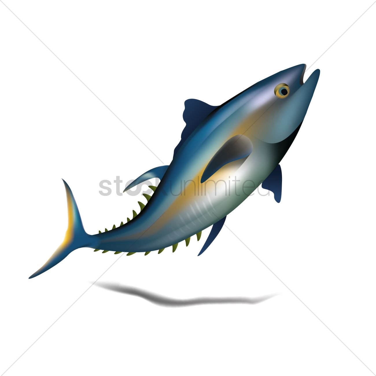 1300x1300 Bluefin Tuna Fish Vector Image