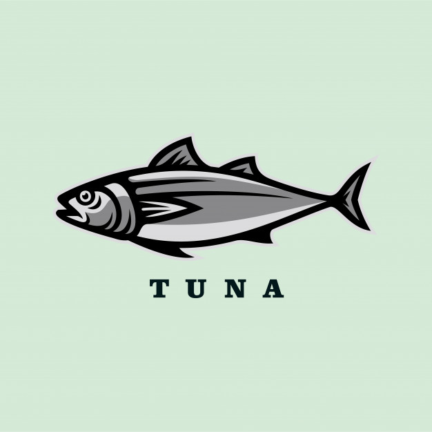 626x626 Tuna Fish Vector Illustration Vector Premium Download