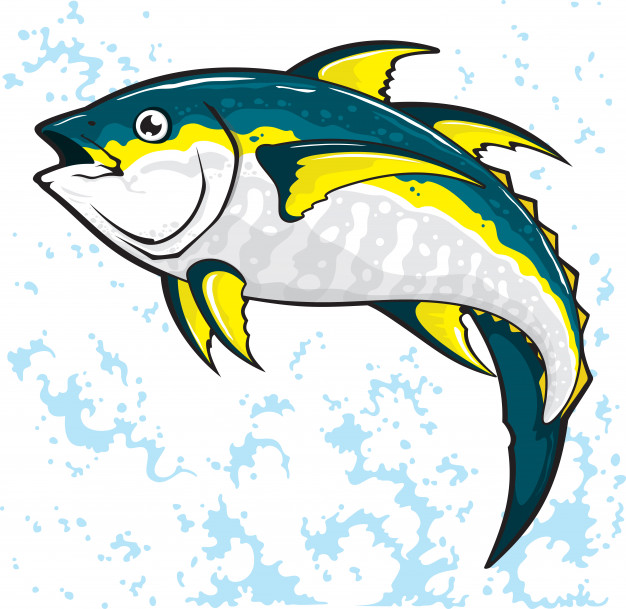 626x609 Tuna Fish Vector Illustration Design Vector Premium Download