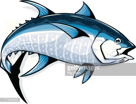 474x362 Detailed Illustration Of A Bluefin Tuna Fishing In Tuna