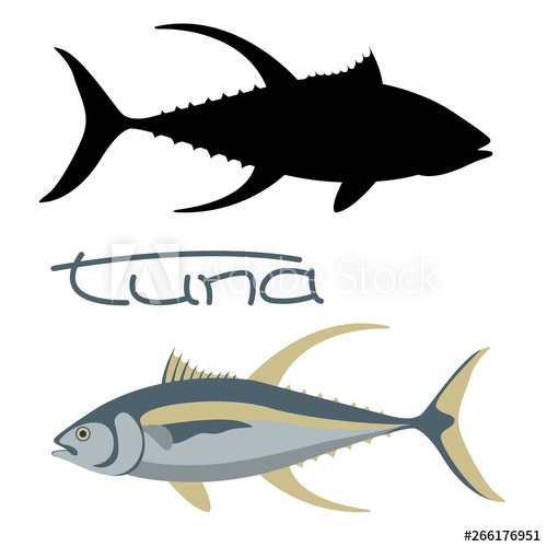 500x500 Tuna Fish, Vector Illustration,flat Style