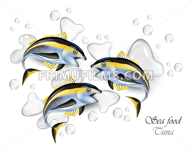 623x490 Fresh Tuna Fish Vector Realistic Water Splash Background Frimufilms