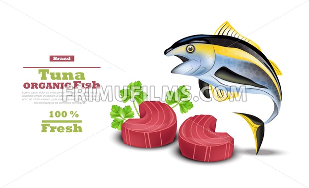623x381 Fresh Tuna Fish Vector Organic Tuna Steak Meat Illustration