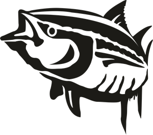 300x264 Tuna Logo Vector