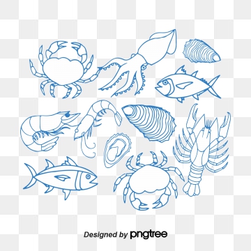 360x360 Tuna Png Images Vector And Free Download