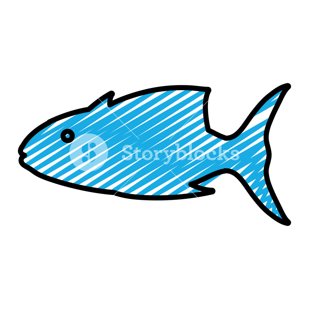 1000x1000 Doodle Tropical Tuna Fish Nature Animal Vector Illustration