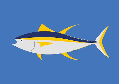 494x350 Graphic Tuna, Vector Premium Clipart