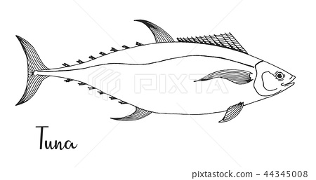 450x257 Hand Drawn Tuna Vector Illustration